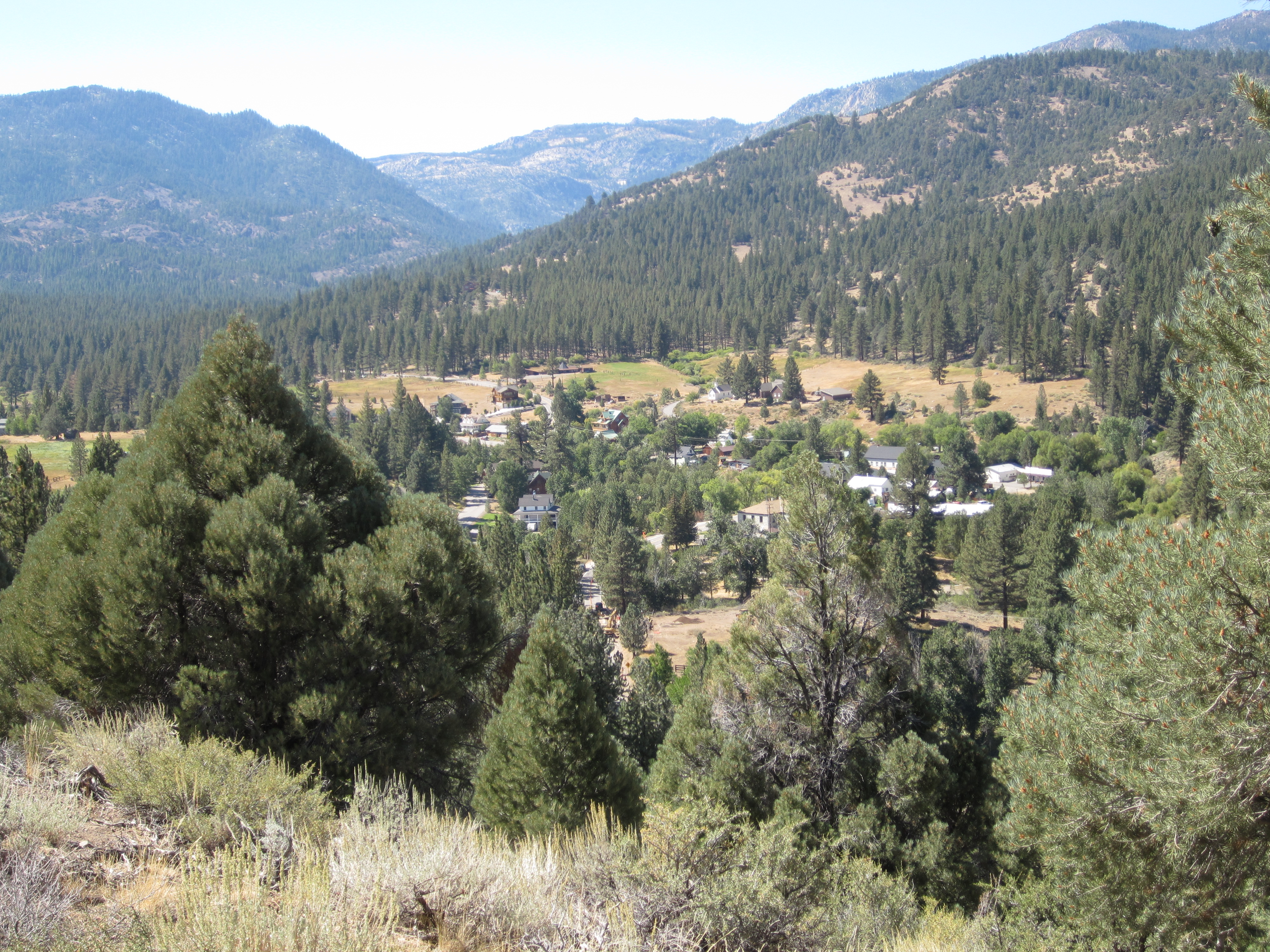 MV and Author Reading 008